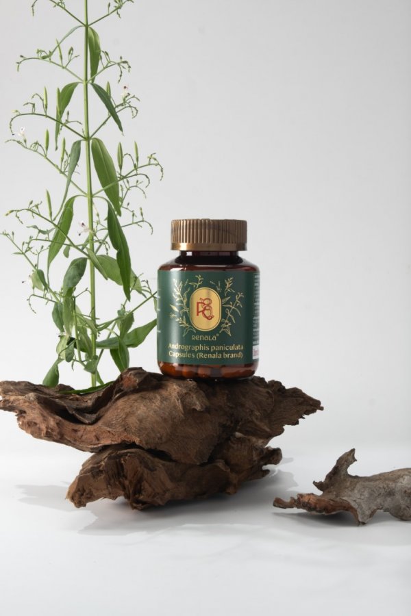 Andrographis Paniculata Capsules (30 Tabs)