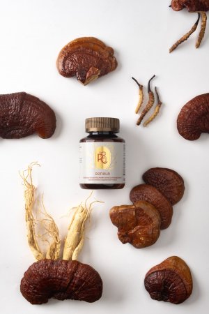 Капсулы с экстрактом кордицепса, экстрактом рейши и экстрактом женьшеня (30 таблеток)