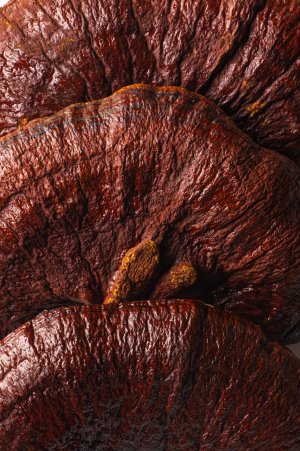 Капсулы с экстрактом кордицепса, экстрактом рейши и экстрактом женьшеня (30 таблеток)